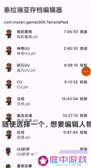 泰拉瑞亚1.4.4.9全物品存档器